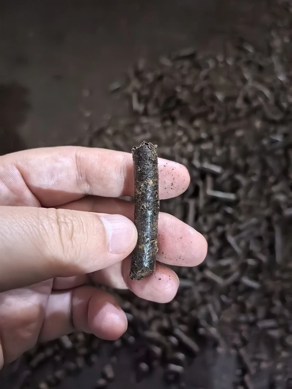 কাজু বাদামের খোসা